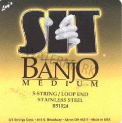SIT Banjo Strings Medium B51024 5 string 10-24